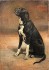 La canina di Montepagani 1889