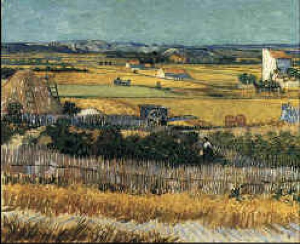 Van Gogh La Mietitura