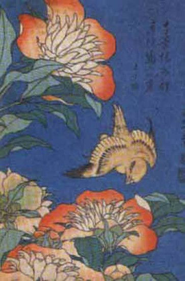 Katsushika Hokusai, Peonia semplice e canarino 