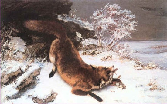 Courbet Gustave  La  volpe