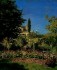 Monet Claude  giardino fiorito a Saint Andresse