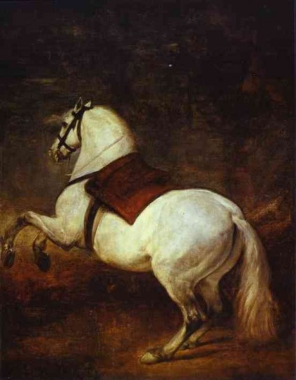 Velazquez Cavallo bianco