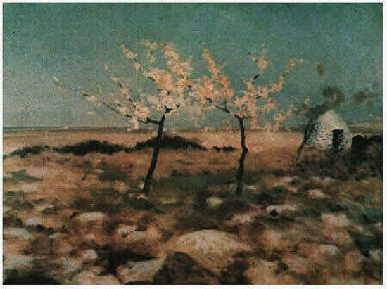 De nittis Primavera