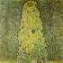 Klimt Gustav Girasole