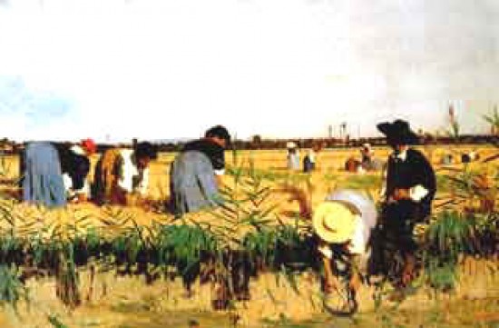 Favretto Giacomo La raccolta del riso nelle terre del basso veronese
