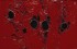 Burri  Rosso plastica