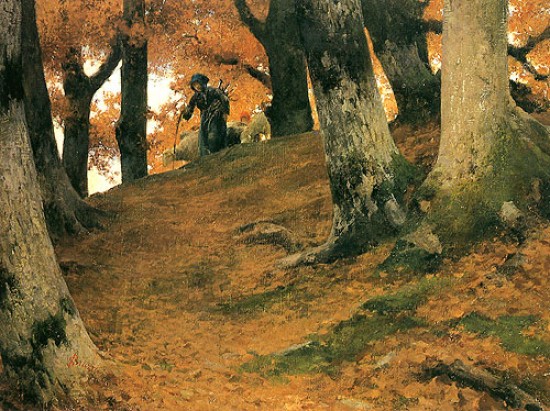 Autunno nel bosco