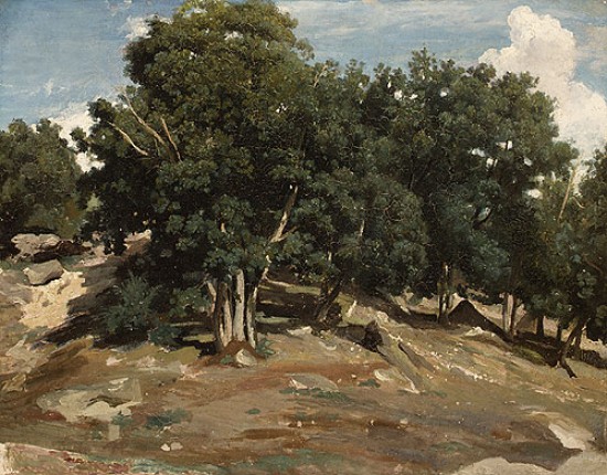 Jean-Baptiste-Camille Corot (Fointenblau
