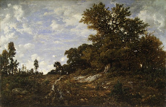 Pierre-Étienne-Théodore Rousseau, The Edge of the Woods