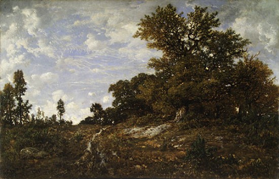 Pierre-tienne-Thodore Rousseau, The Edge of the Woods