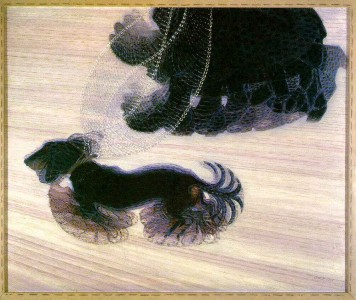 Dinamismo di un cane al guinzaglio