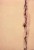 Newman Barnett